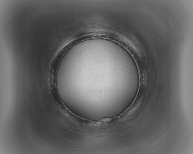 X0000111941352200908101153