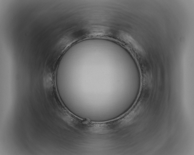 X0000111941353200908101153