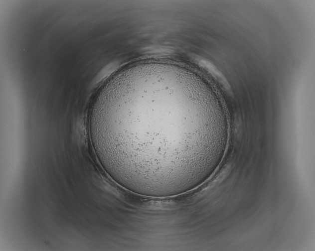 X0000111941354200908101153