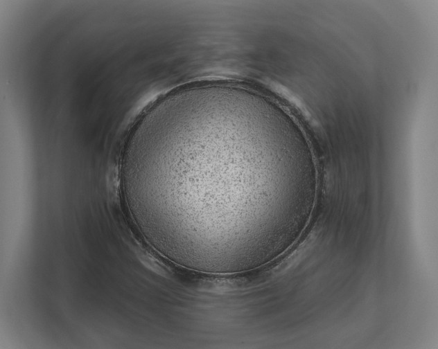 X0000111941355200908101153