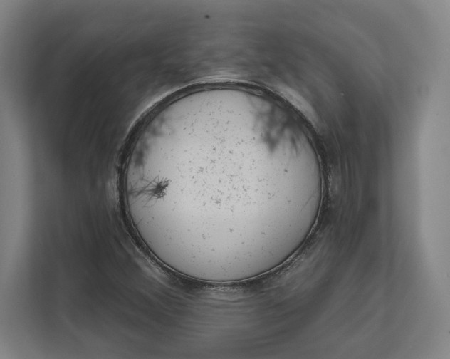 X0000111941356200908101153