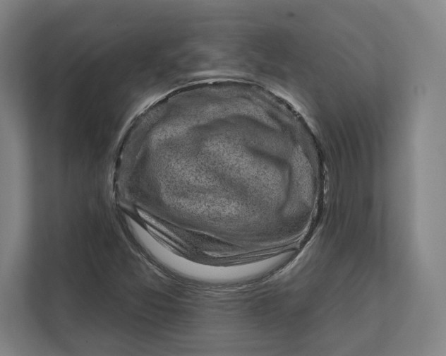 X0000111941357200908101153