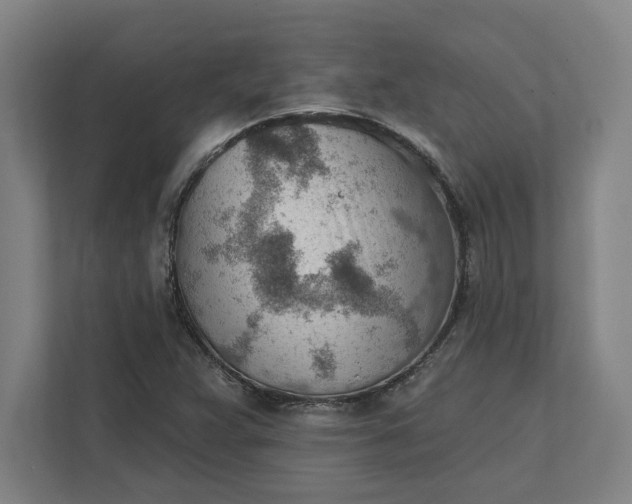 X0000111941359200908101153