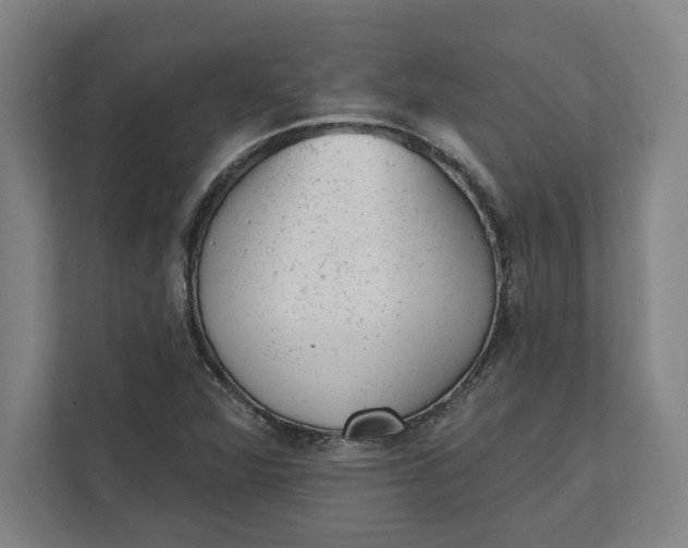 X0000111941360200908101153