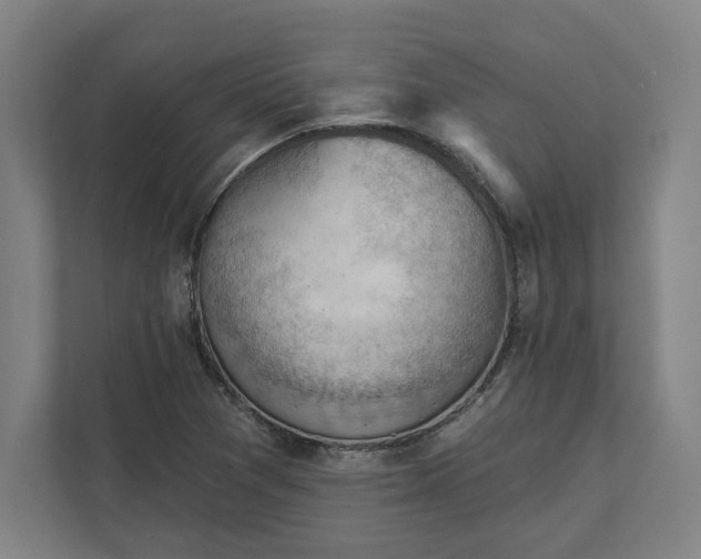 X0000111941361200908101153