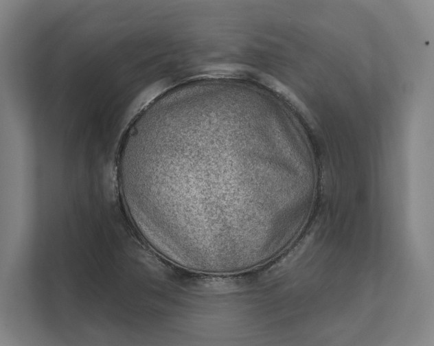 X0000111941362200908101153