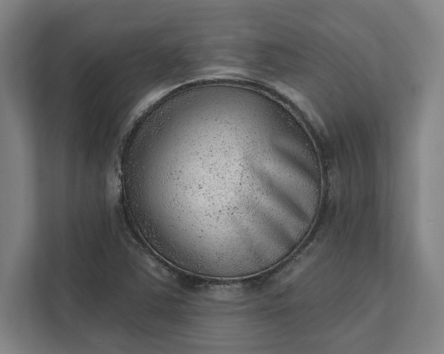 X0000111941363200908101153