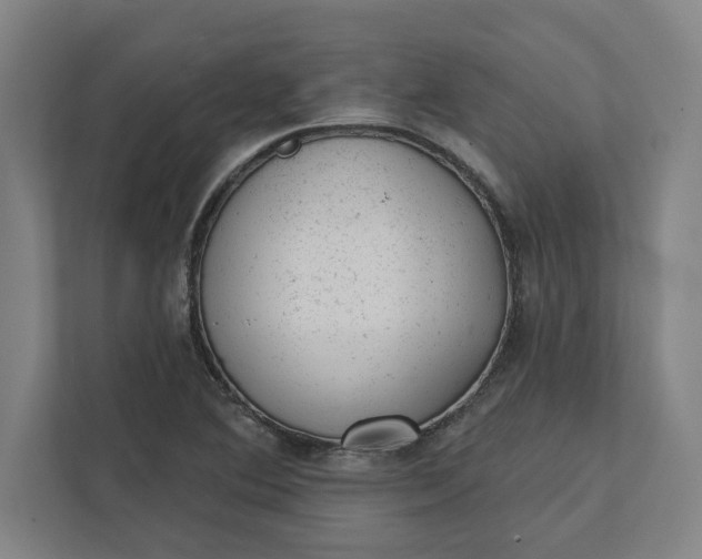 X0000111941364200908101153