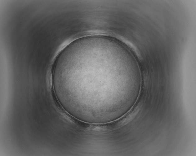 X0000111941365200908101153