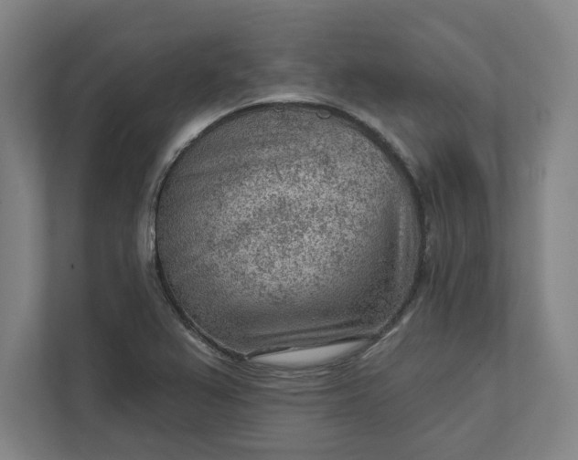 X0000111941367200908101153