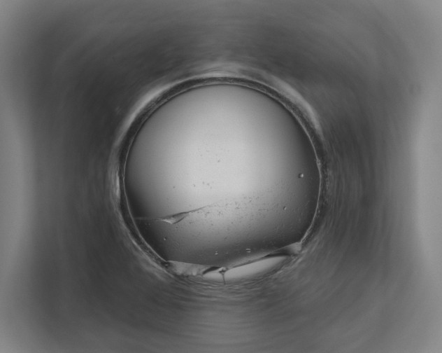 X0000111941368200908101153