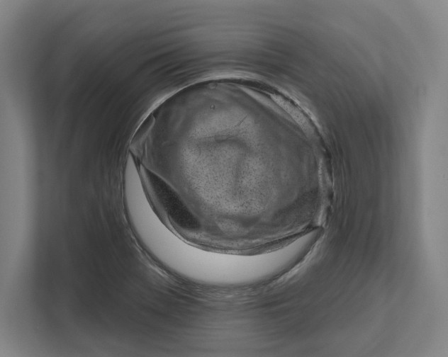 X0000111941369200908101153