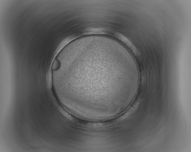 X0000111941370200908101153