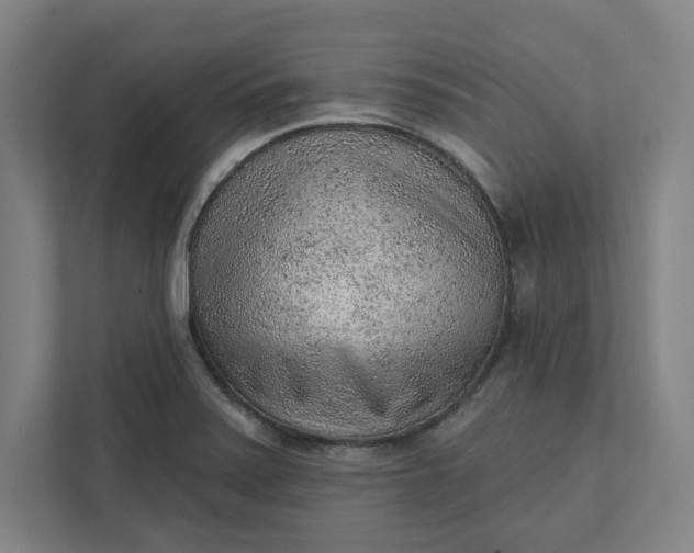 X0000111941371200908101153