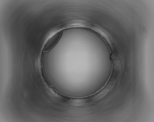 X0000111941373200908101153