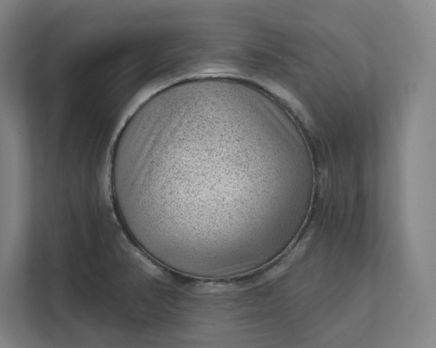 X0000111941374200908101153