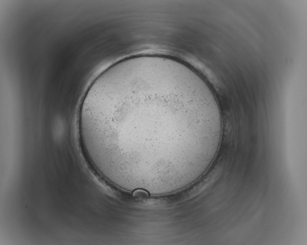 X0000111941375200908101153