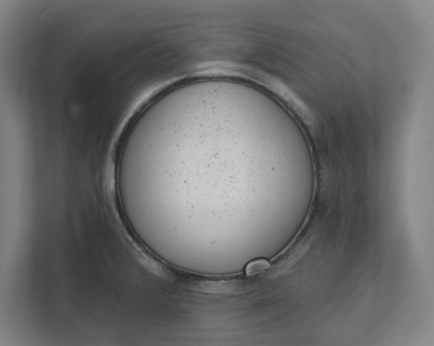 X0000111941376200908101153