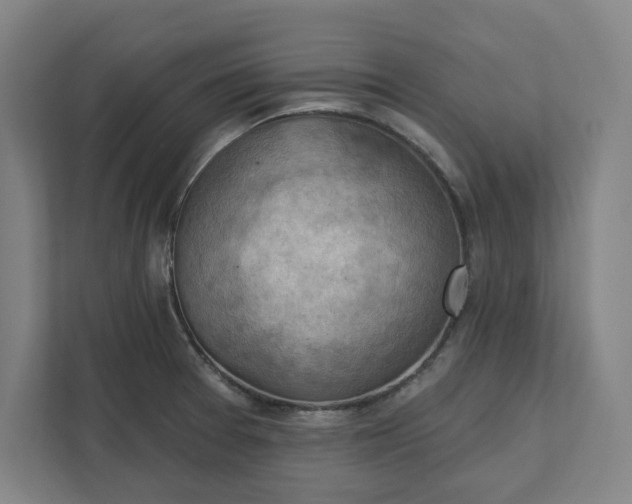 X0000111941377200908101153