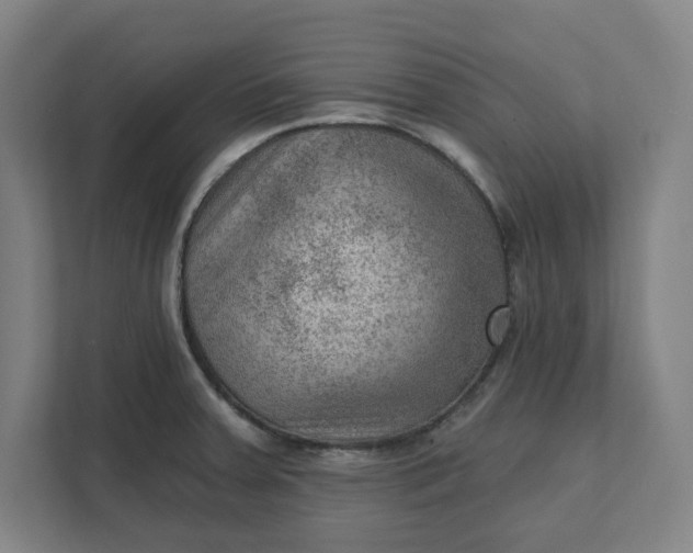 X0000111941379200908101153