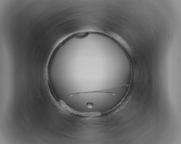 X0000111941380200908101153