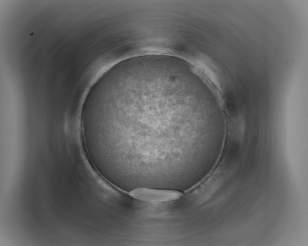 X0000111941381200908101153