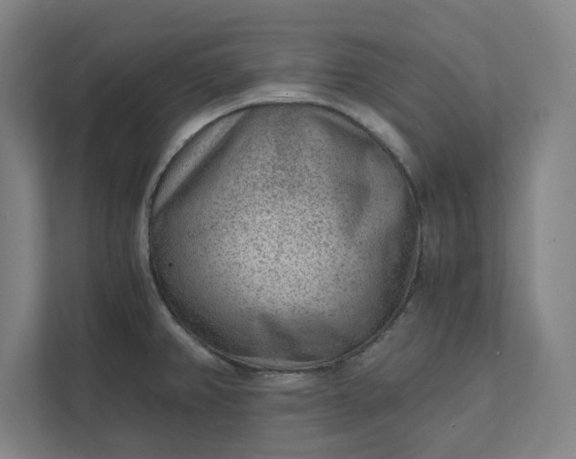 X0000111941382200908101153