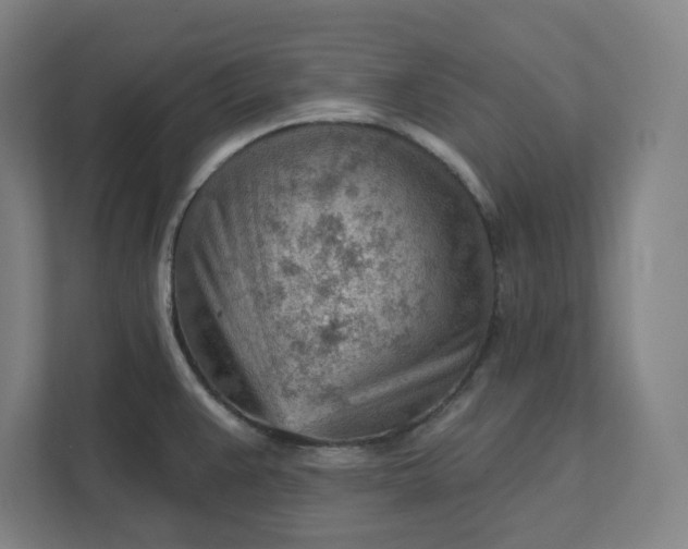 X0000111941383200908101153