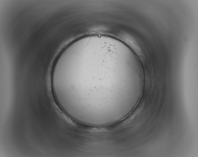 X0000111941384200908101153