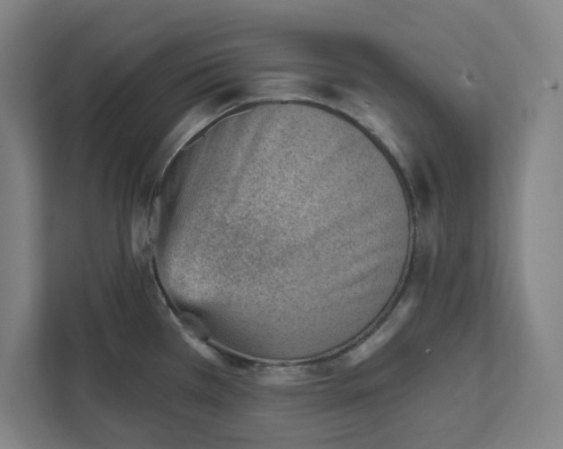 X0000111941385200908101153