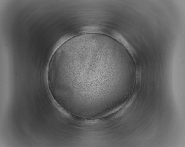 X0000111941386200908101153