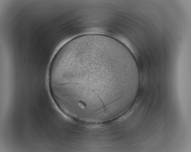 X0000111941387200908101153