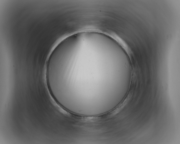 X0000111941390200908101153