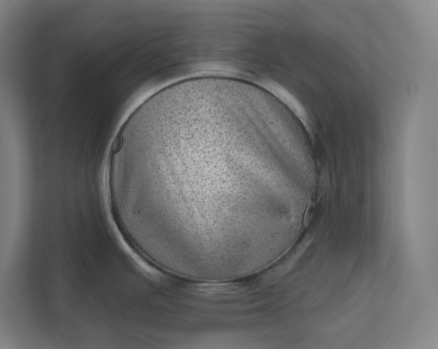 X0000111941391200908101153