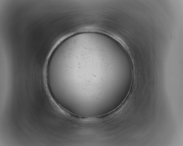 X0000111941392200908101153