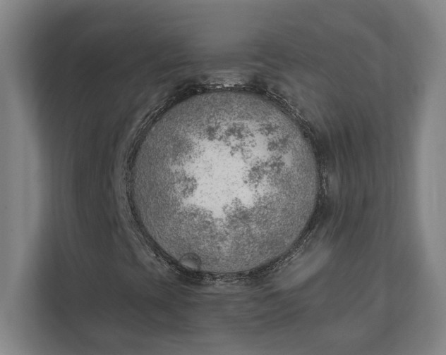 X0000111941393200908101152