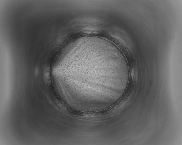 X0000111941396200908101152