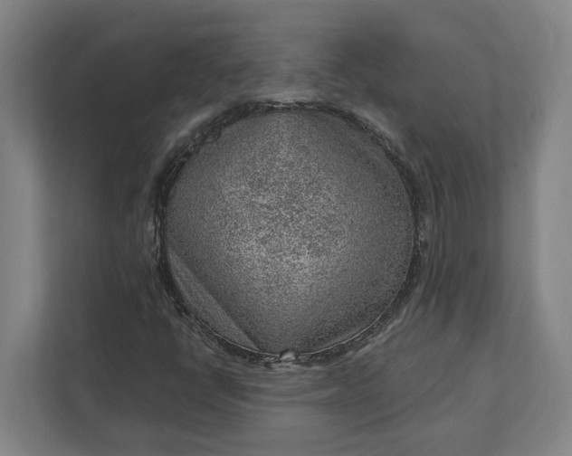 X0000111941398200908101152