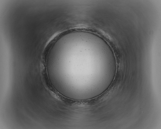 X0000111941400200908101152