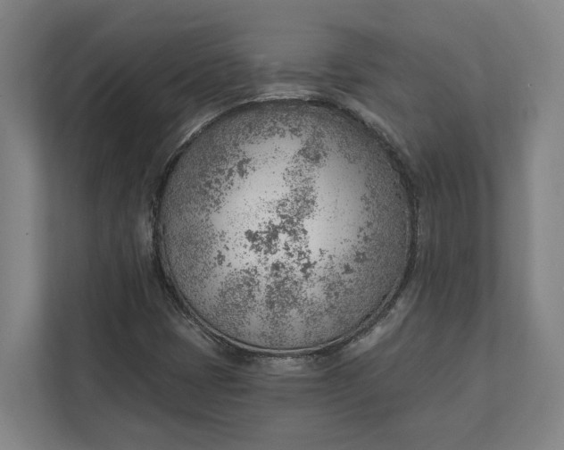 X0000111941401200908101152