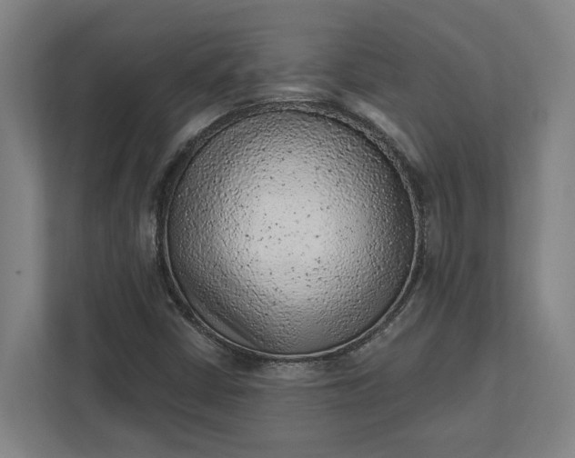 X0000111941402200908101152