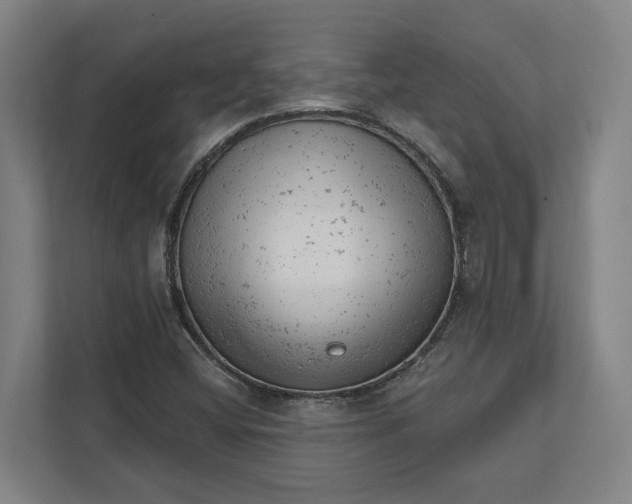 X0000111941404200908101152