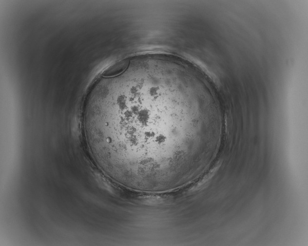 X0000111941405200908101152