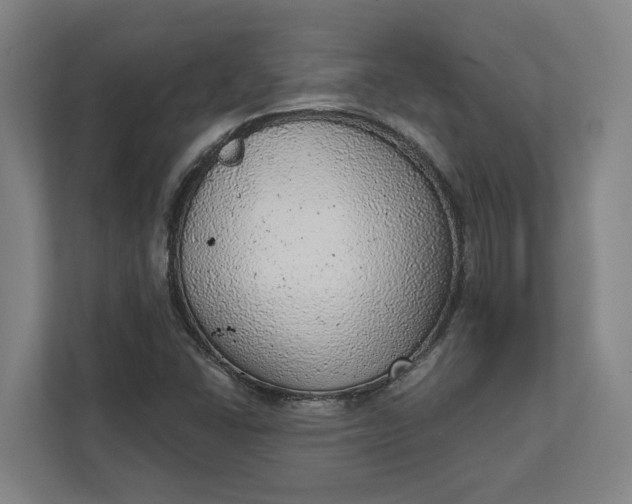 X0000111941406200908101152