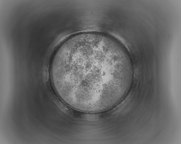 X0000111941407200908101152