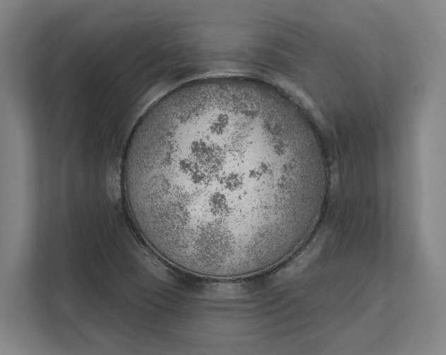 X0000111941409200908101152