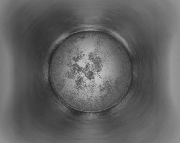 X0000111941411200908101152