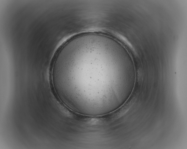 X0000111941412200908101152