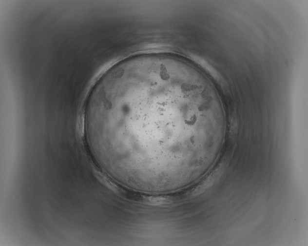 X0000111941413200908101152