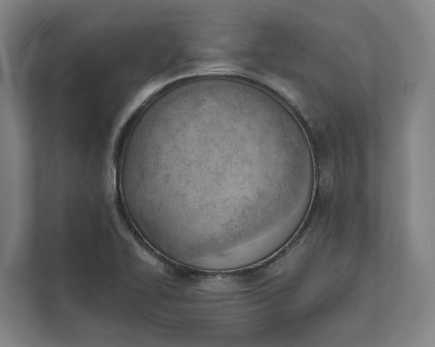 X0000111941414200908101153